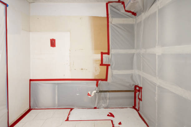 Best Mold Odor Removal Services  in Boyd, TX
