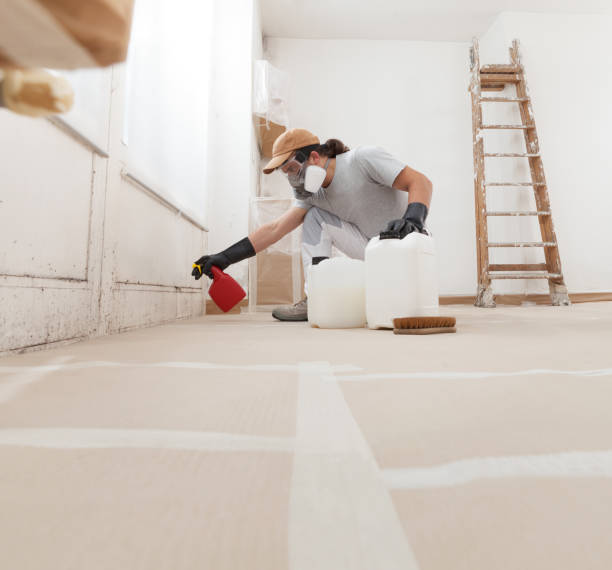 Best Mold Remediation for Healthcare Facilities  in Boyd, TX